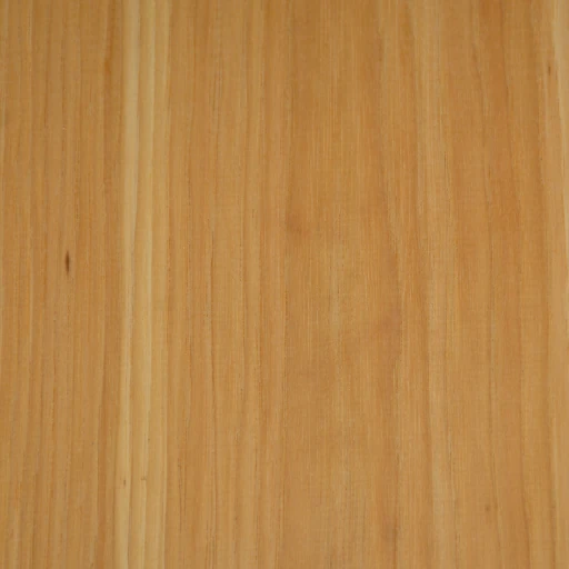 Black Walnut - Image 4