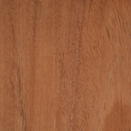 Black Walnut - Image 2
