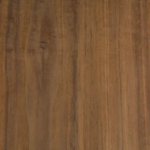 Black Walnut texture